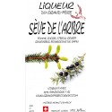 Liqueur Sève de l'Arbre 20 cl