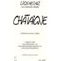 Liqueur Chataigne 20 cl