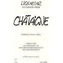 Liqueur Chataigne 20 cl