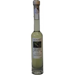 Eau de vie Genepi 20 cl